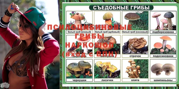 СК Нея
