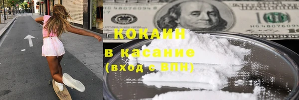 прущие грибы Михайлов