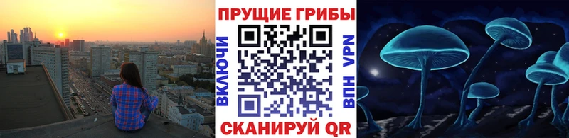 Галлюциногенные грибы MAGIC MUSHROOMS  Калач 
